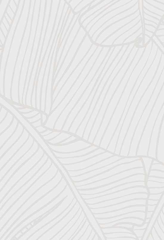 Small Navigation Background