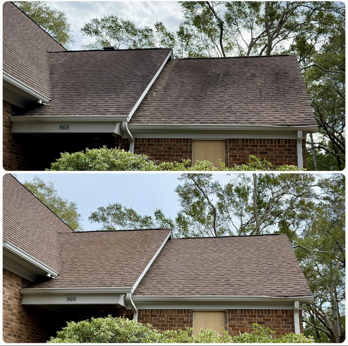 Professional Roof Cleaning & Black Streak Removal in James Island, SC Image