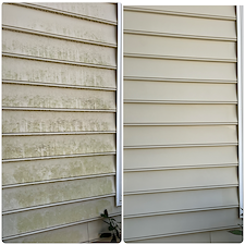 Top Quality Soft Washing performed in Mt. Pleasant, SC Thumbnail